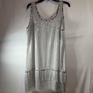 Women's‎ 3X Silver Flappers Dress 1920s Sequins Fringe Pretty Fun Costumes NYE